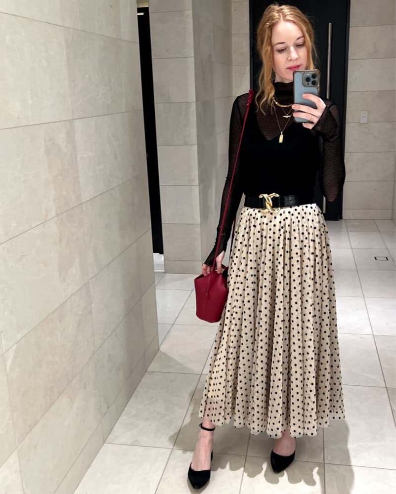 Anthropologie Daniel Rainn Tulle Skirt  - Image 5
