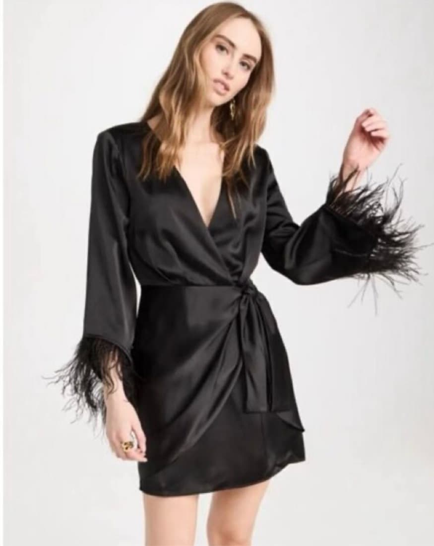 Black Mini Dress - Feather Sleeves - Image 1