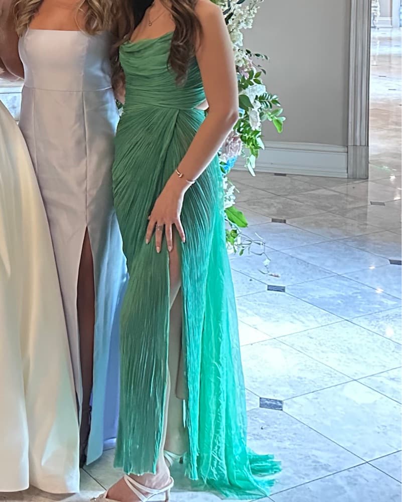 Green Maria Lucia Hohan Gown - Image 1