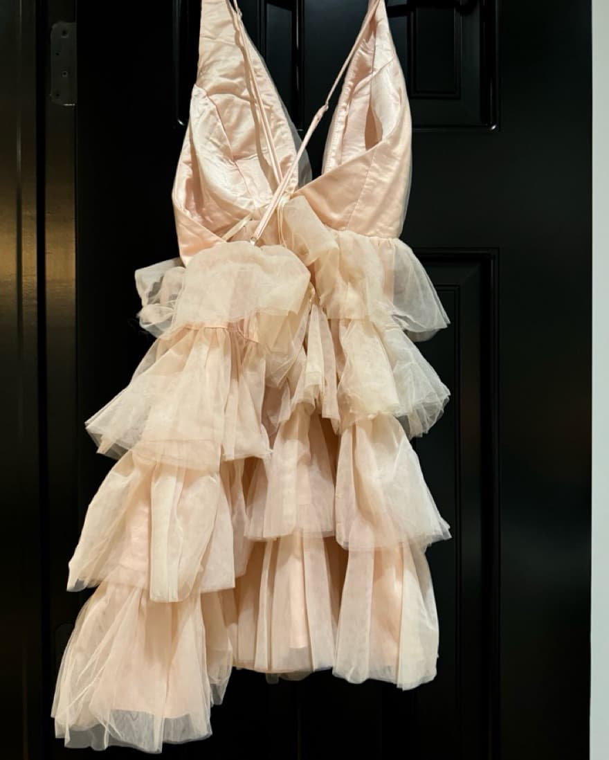 Elegant Light Pink Tulle Mini Dress - Image 4