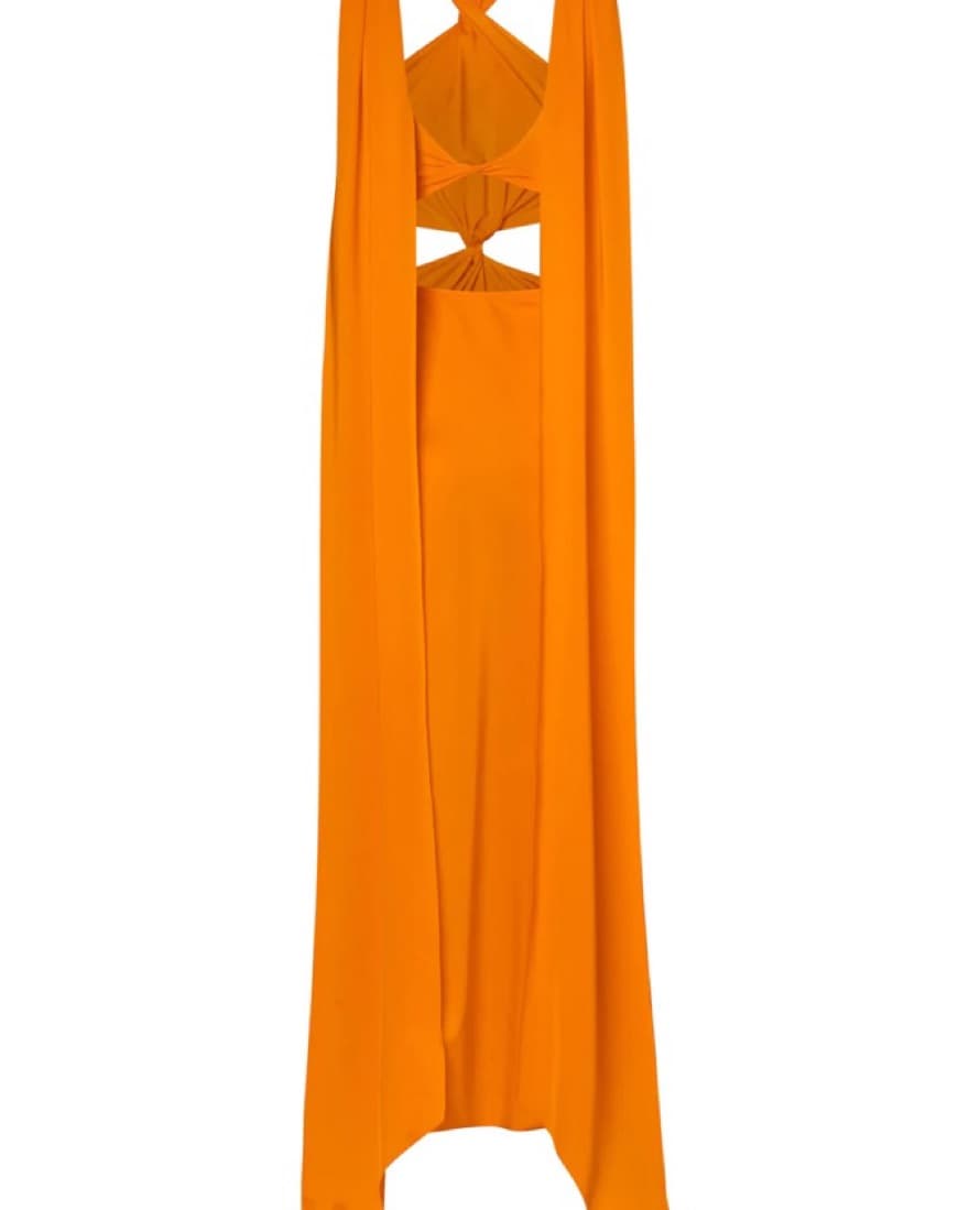 Baobab Ribera Maxi Dress - Image 5