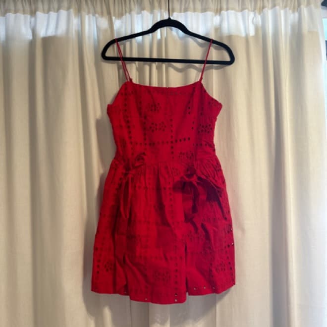 Red Damson Madder Mini Dress - Image 3