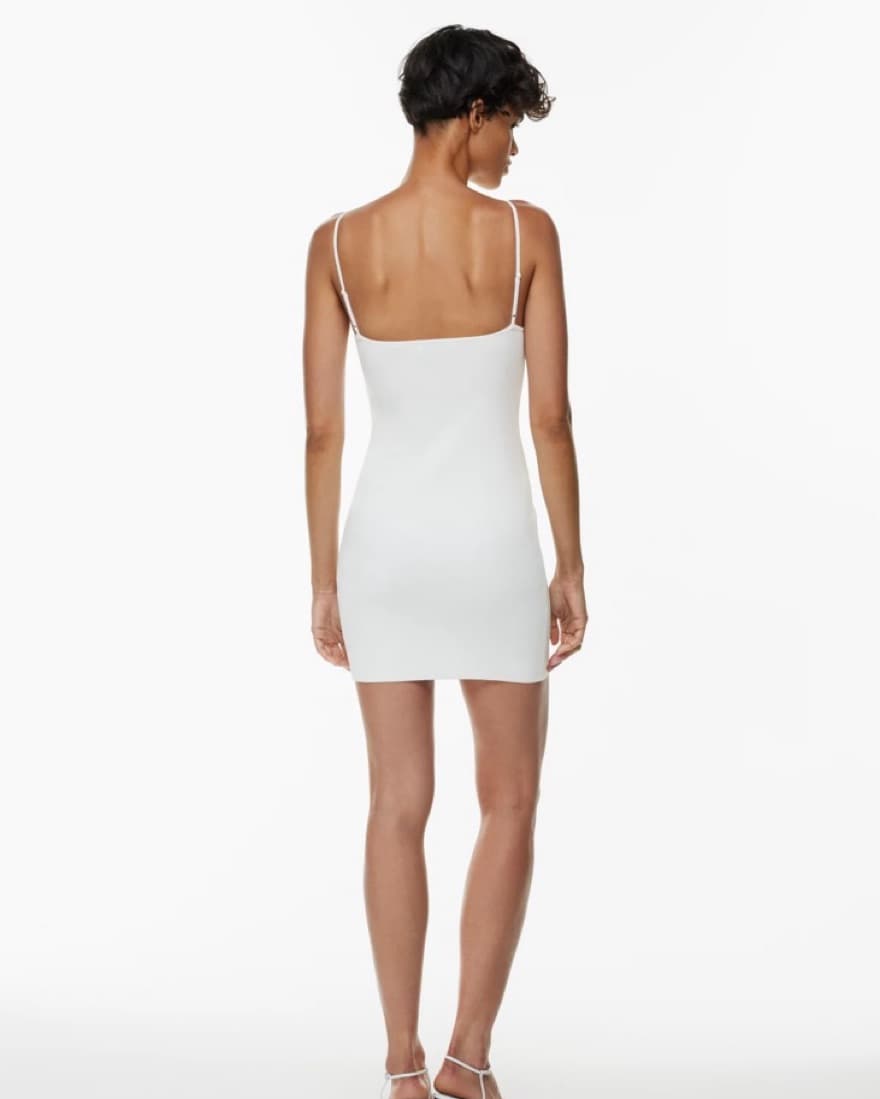 Aritzia Babaton Mini Dress - Image 3