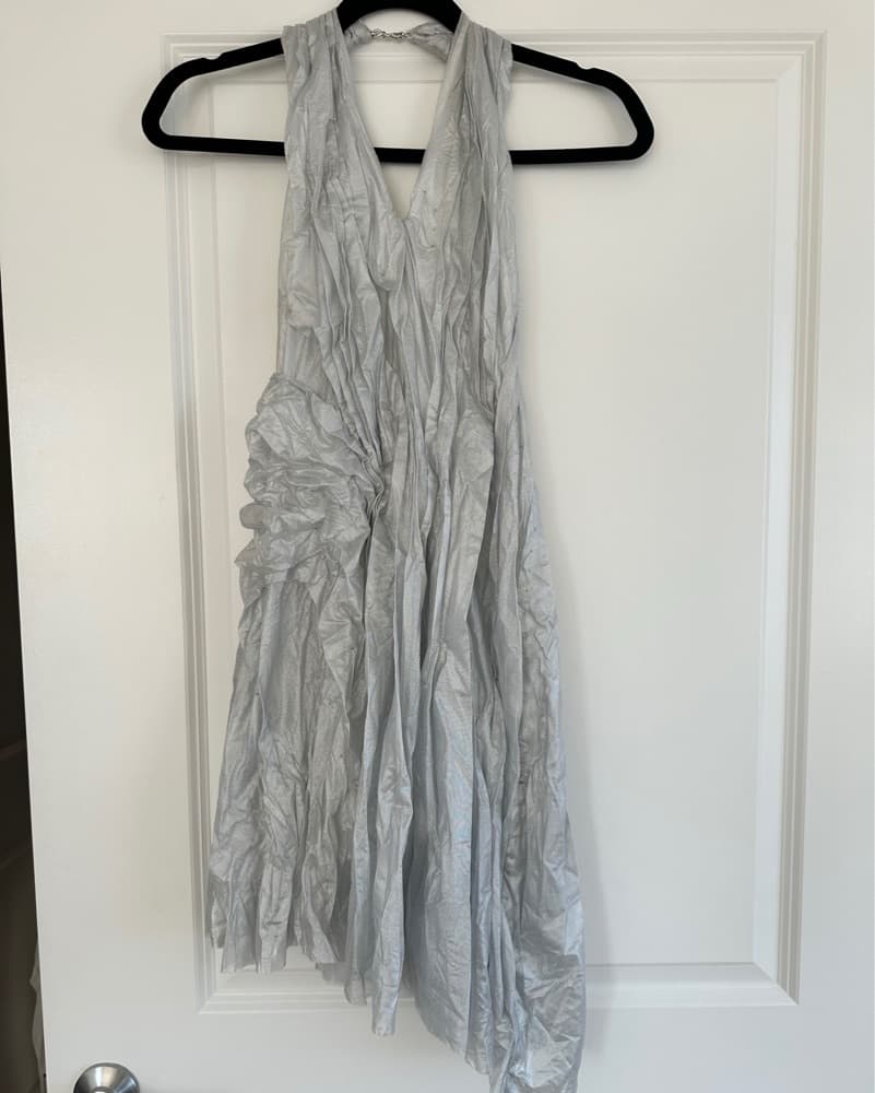 DI PETSA Silver Moon Wetlook Dress in Metallic Silver - Image 3