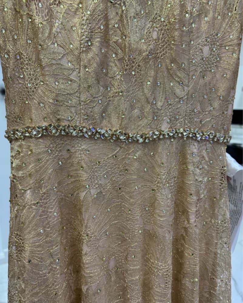Exquisite Embellished Lace Gown - Image 4