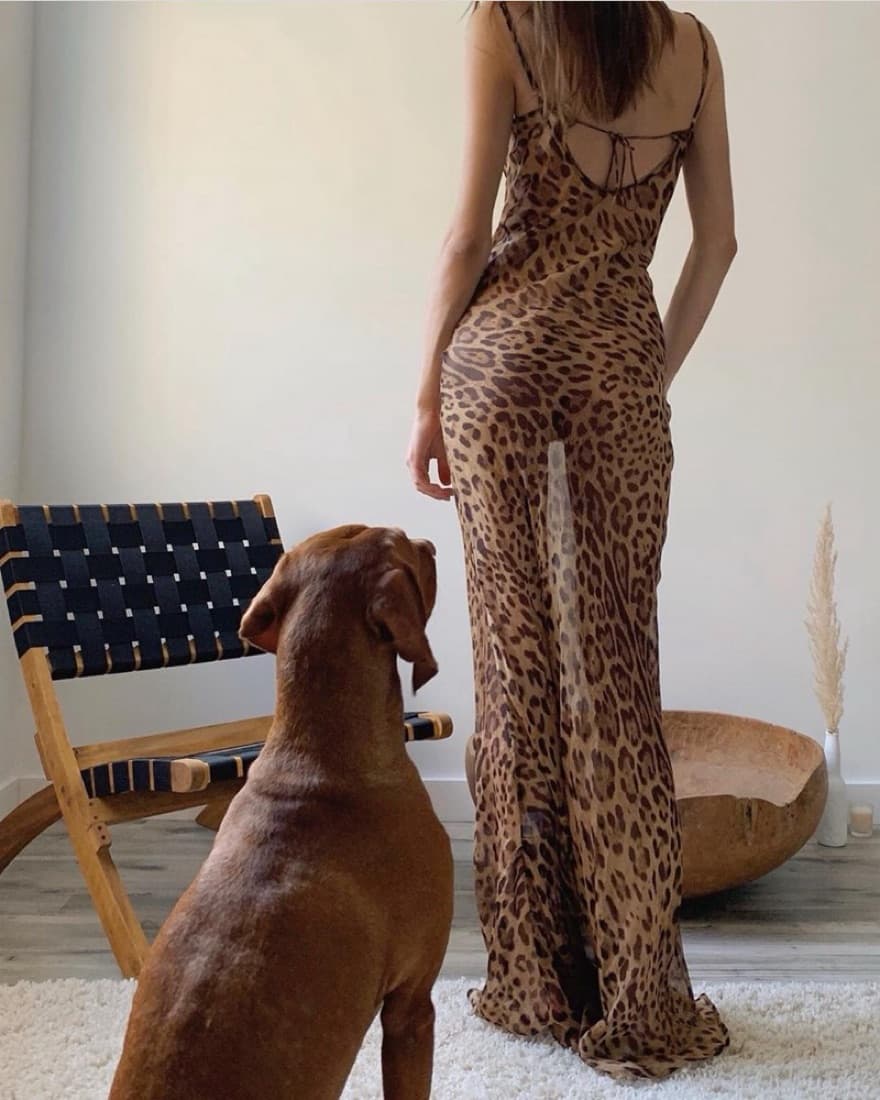 Rat & Boa Valentina  - Image 3