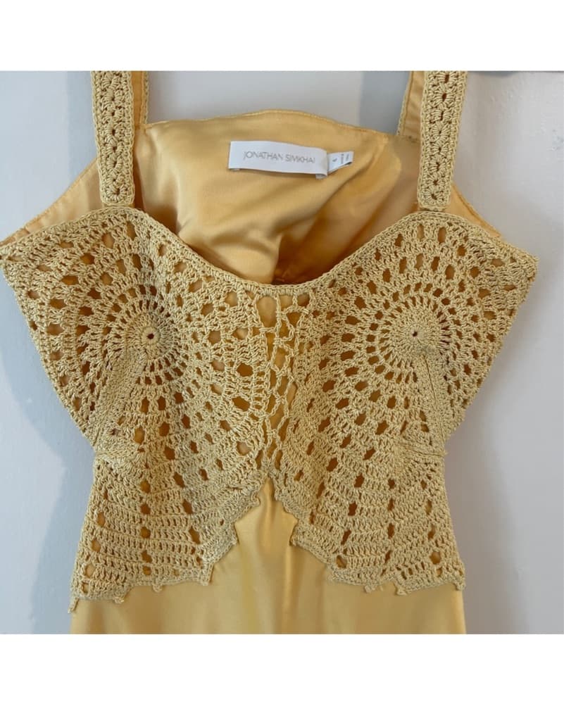 Roberta Crochet-Detailed Silk Midi Dress - Image 4