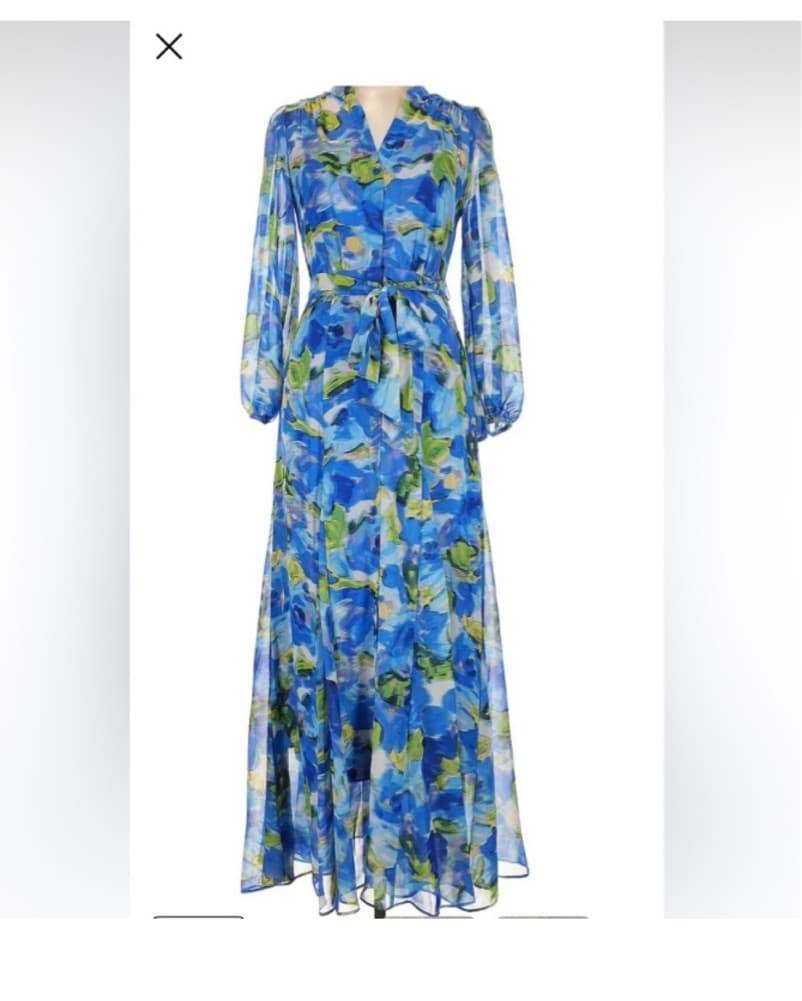 Taylor Blue Floral Maxi Dress - Image 1