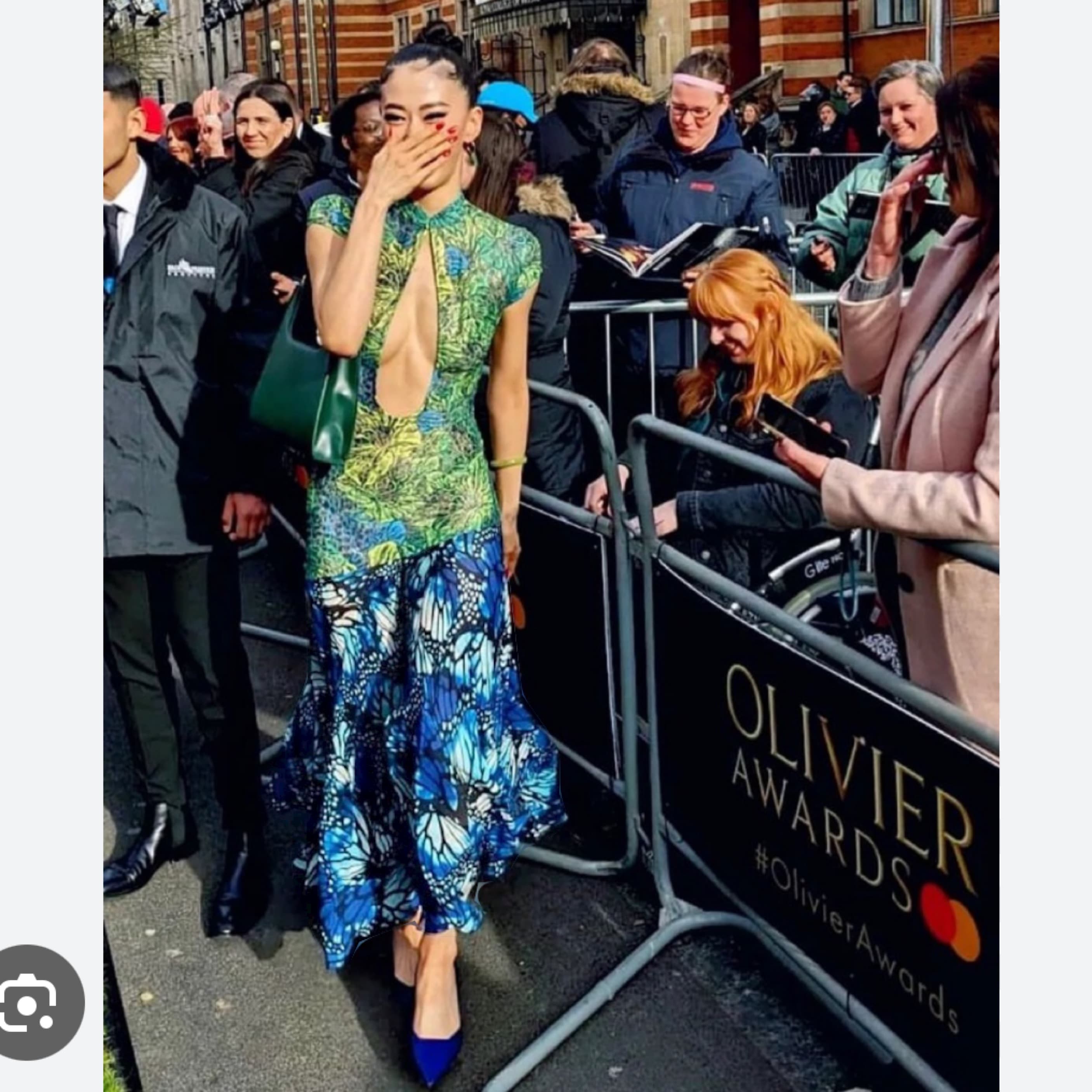 Kim Shui Butterfly Dress 🦋 - Image 5