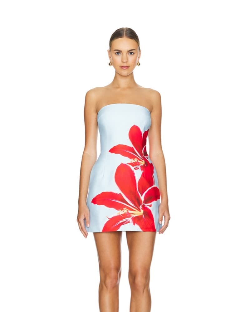 Runaway The Label Primrose Dress - Image 1