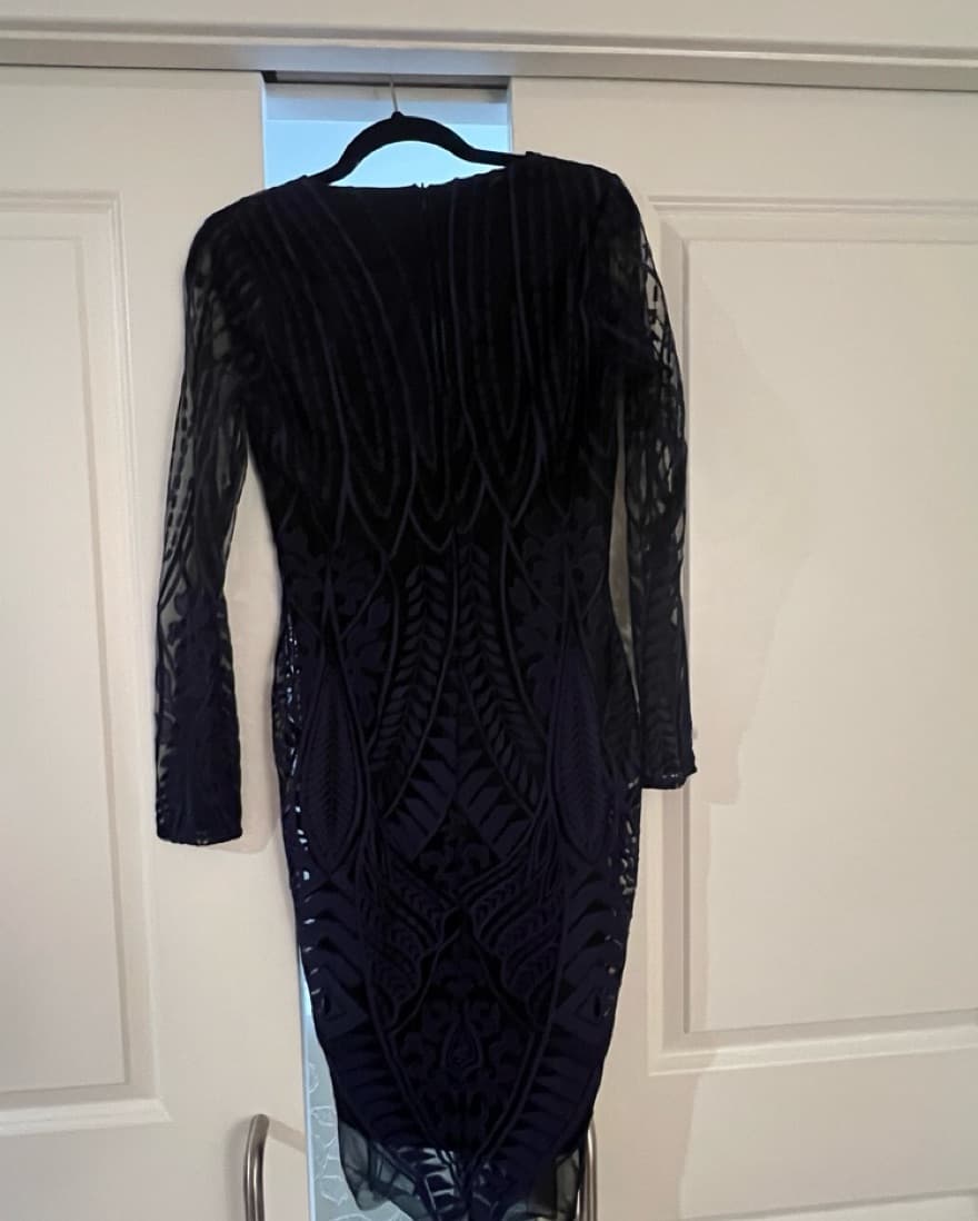 Lavish Alice Embroidered Mesh Lace Dress - Image 6
