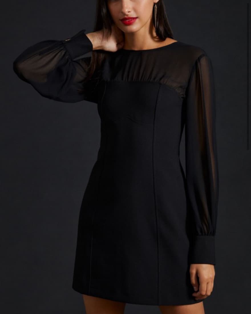 Maeve Sheer Long Sleeve Mini dress - Image 2