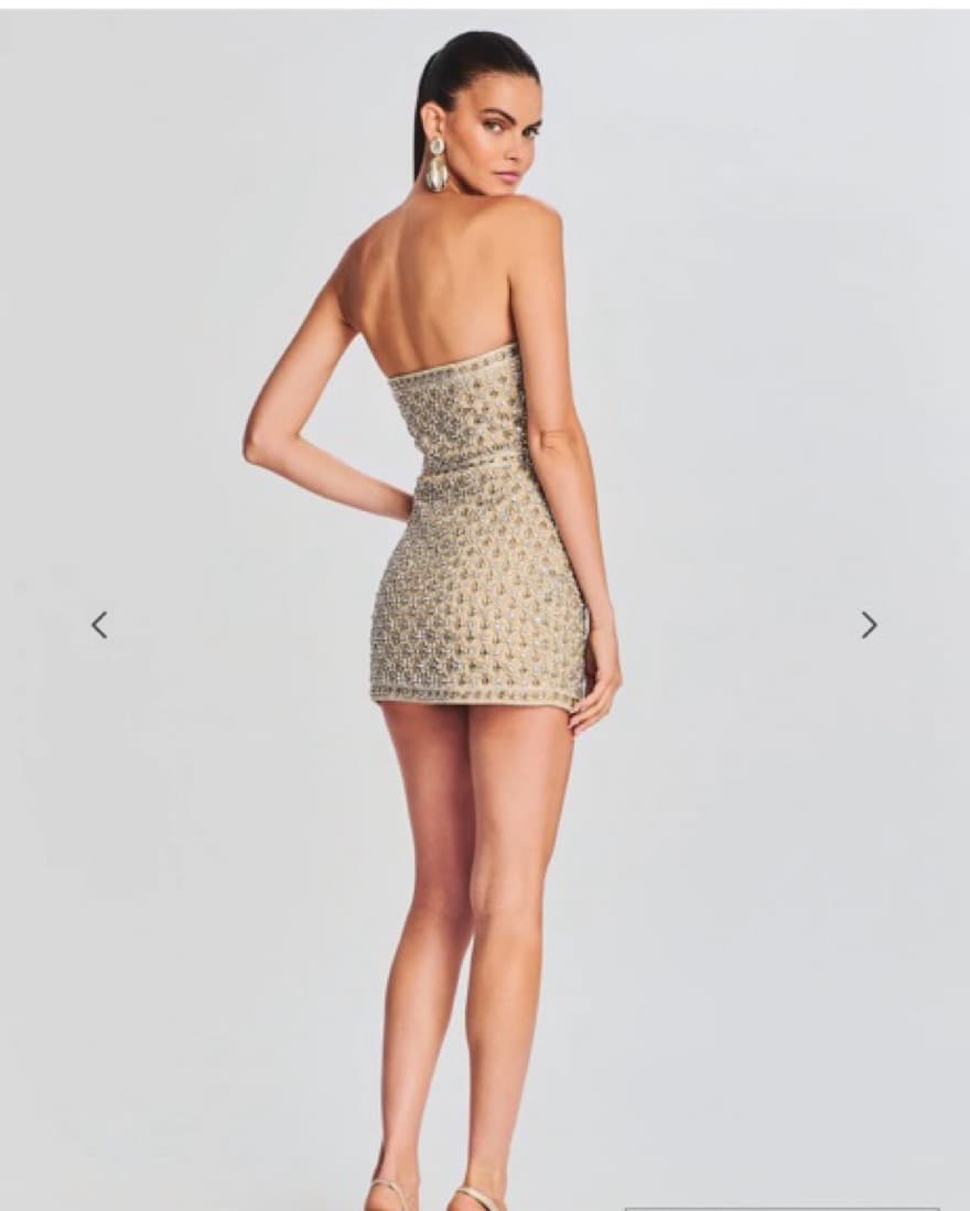 Retrofete Embelished Dress - Image 4