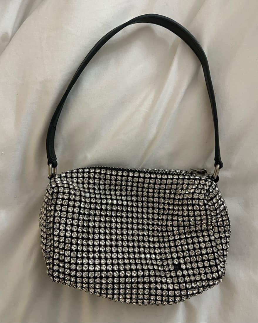 Alexander Wang Heiress Pouch  - Image 4