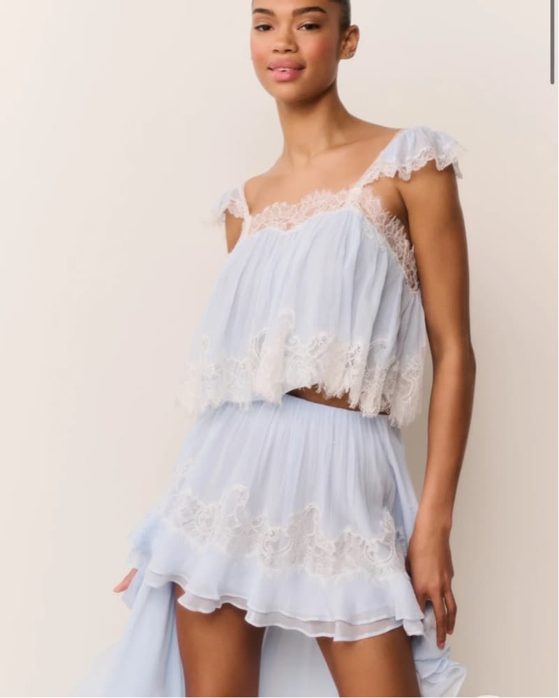 Lova Silk Chiffon Lace Top - Image 4