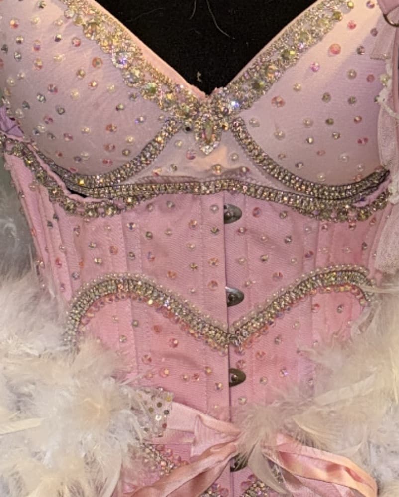 Life Of A Showgirl Costume  - Image 2
