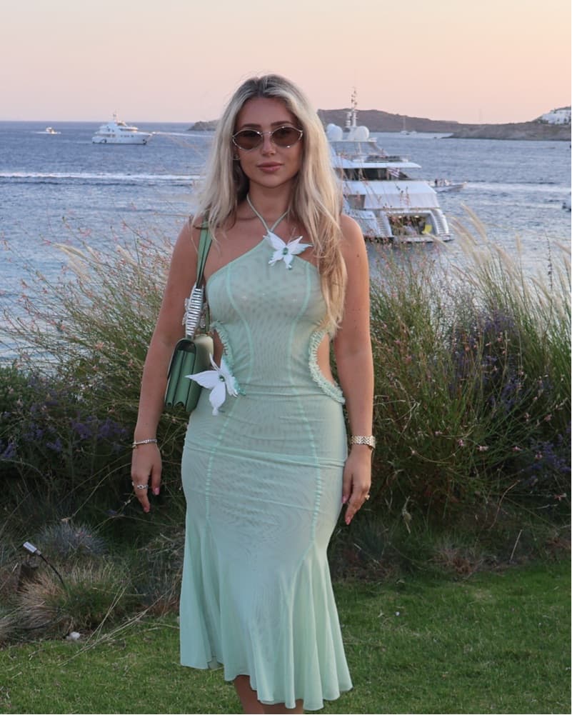 Huelley Rose Butterfly Dress - Image 2
