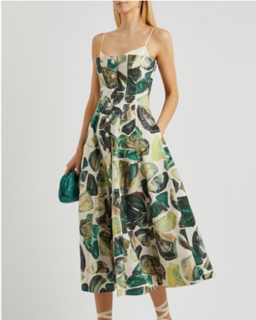 Alemais Siena Printed Cotton Midi Dress - Image 4