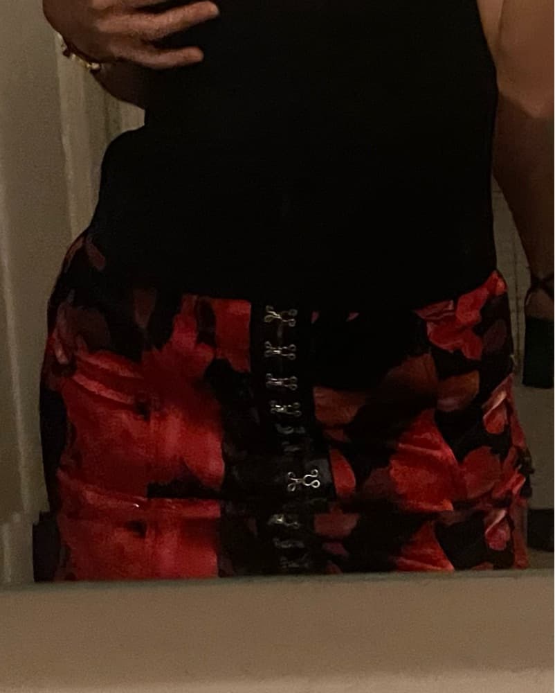 Lioness Silk Skirt  - Image 3