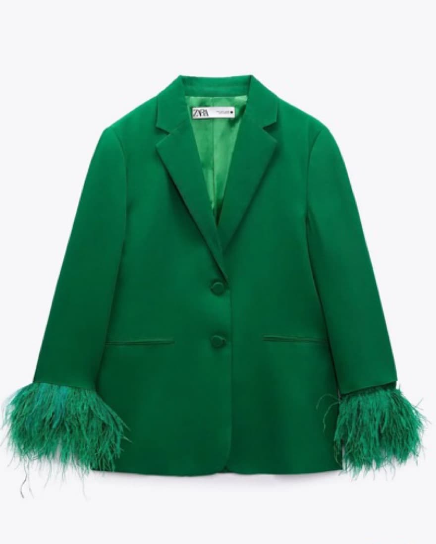 Zara Feather Blazer - Image 1