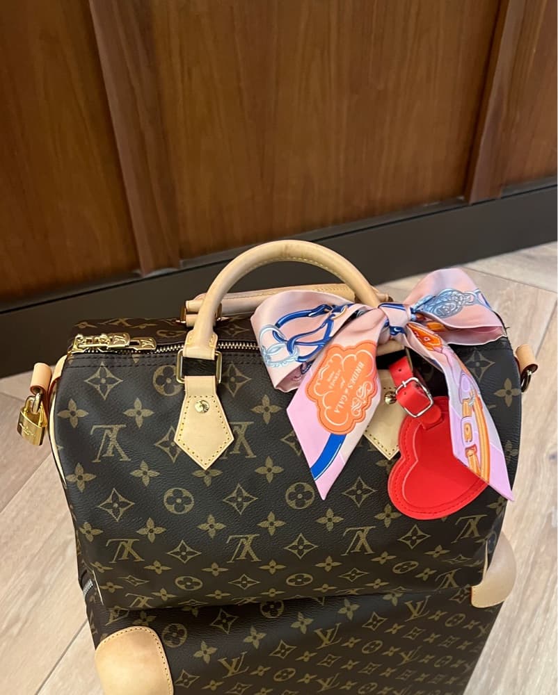 LOUIS VUITTON SPEEDY 30 - Image 1