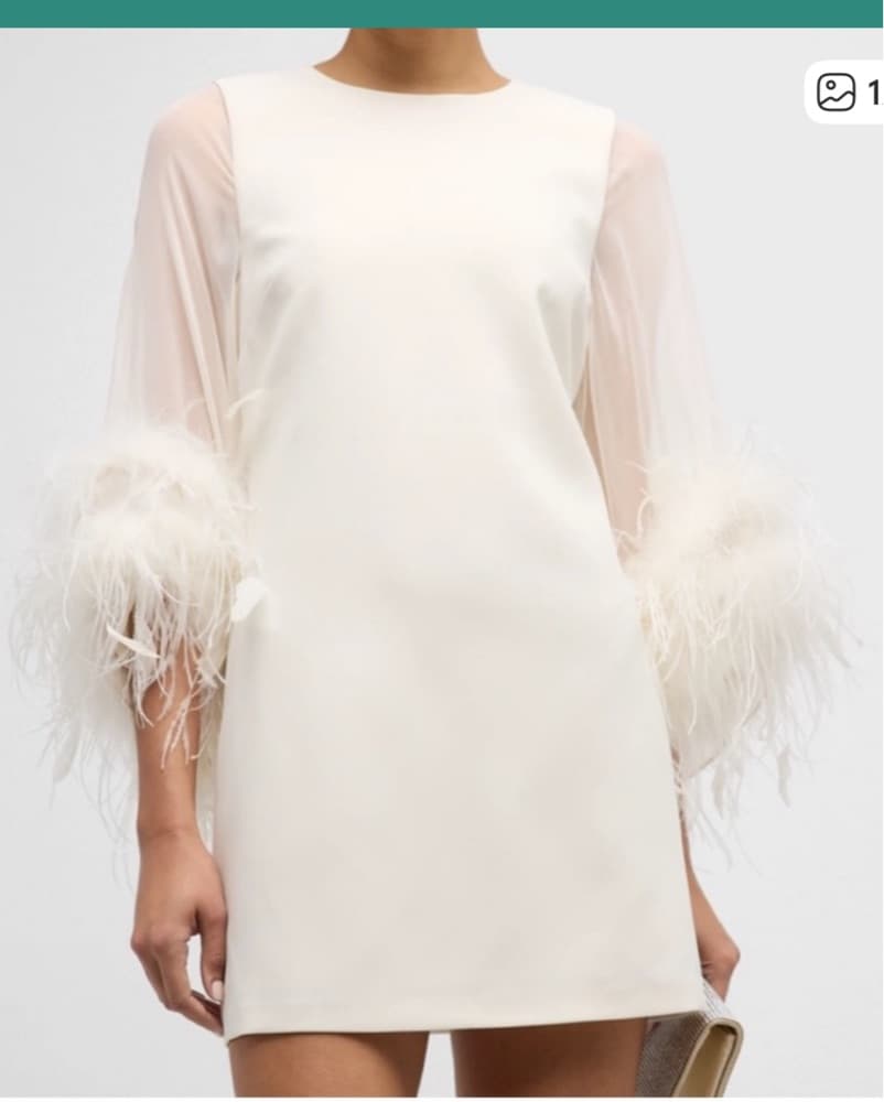 Luxurious Feathered Sheer Dress - Image 1