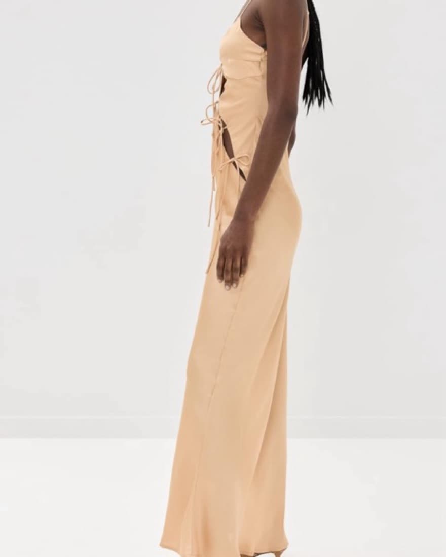 Lioness Maxi Dress - Image 2