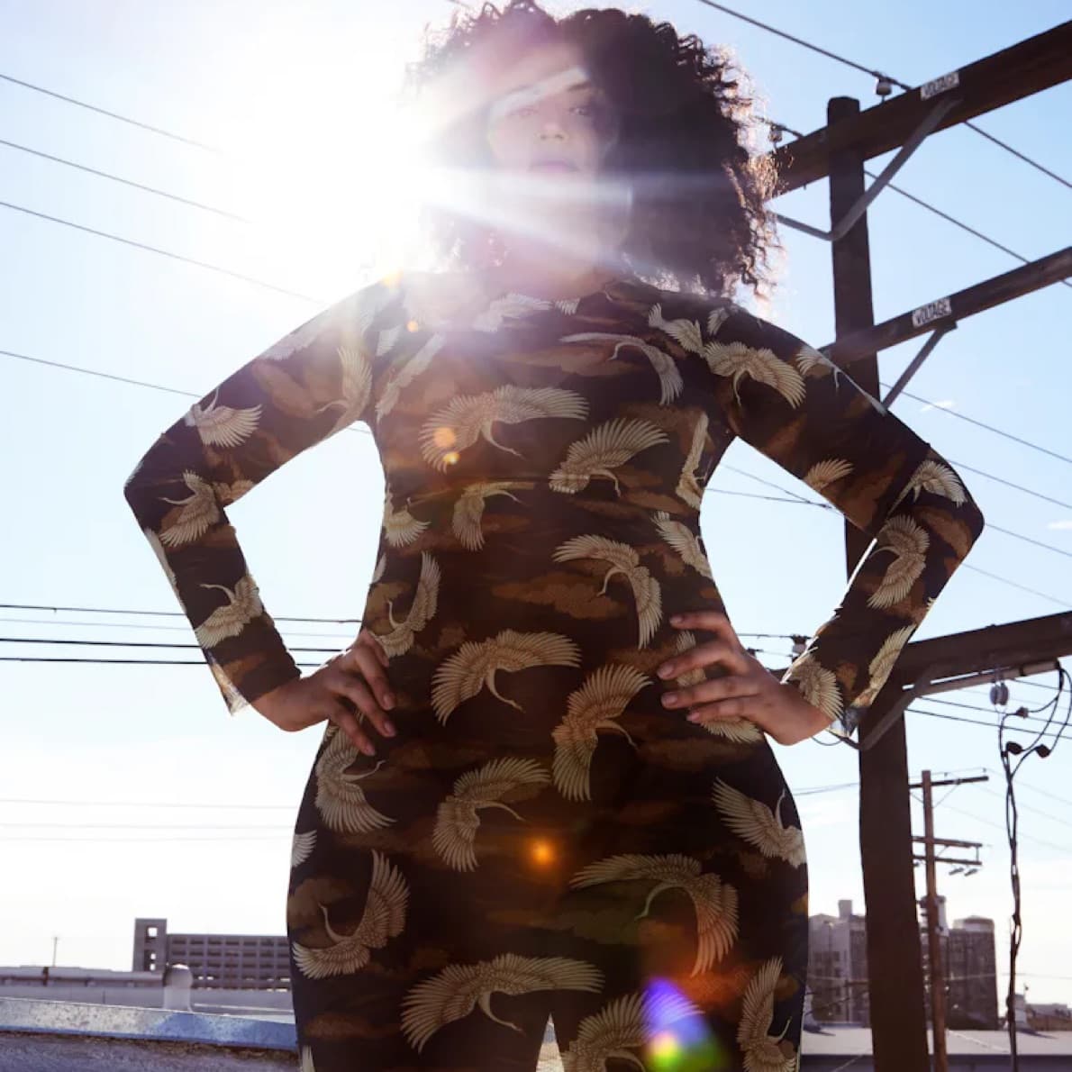 Mesh Bird Print Dress - Image 6