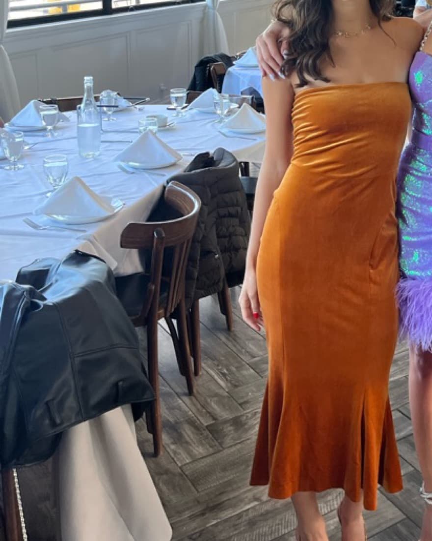 Beautiful Orange/Gold Velvet Dress - Image 1
