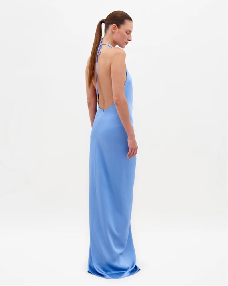 Silvia Tcherassi Torgiano Dress - Image 2