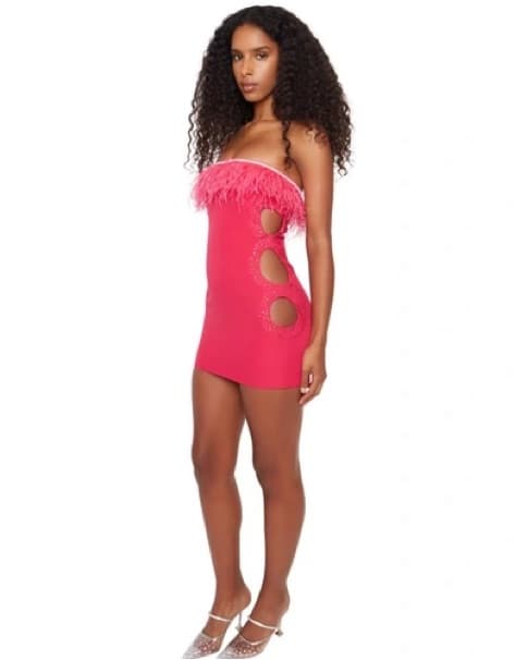 Danielle Guizio Feather Cut-out Dress - Image 1