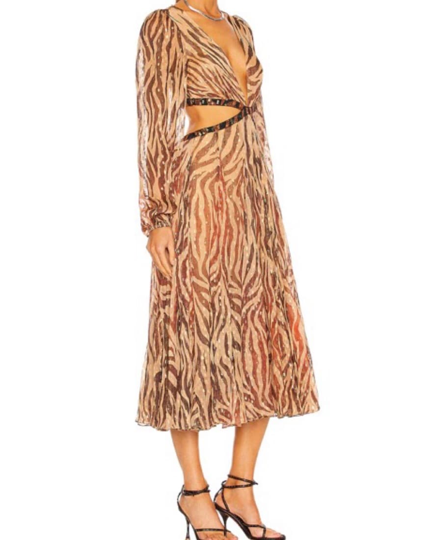 Animal Print Midi Dress - Image 3