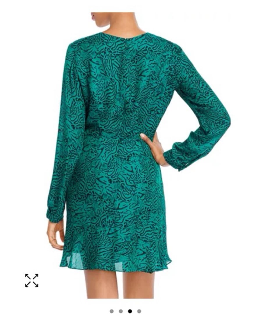 Parker - Leapard Print Ruched Mini Dress - Image 3