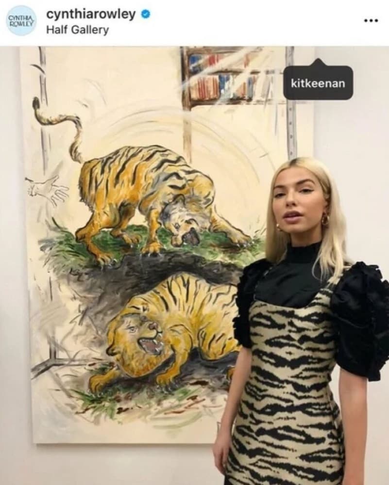 Cynthia Rowley Animal Print Dress - Image 3