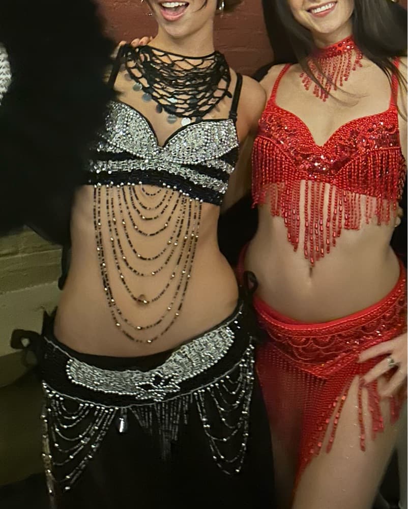 Belly Dancer Costume  - Image 1