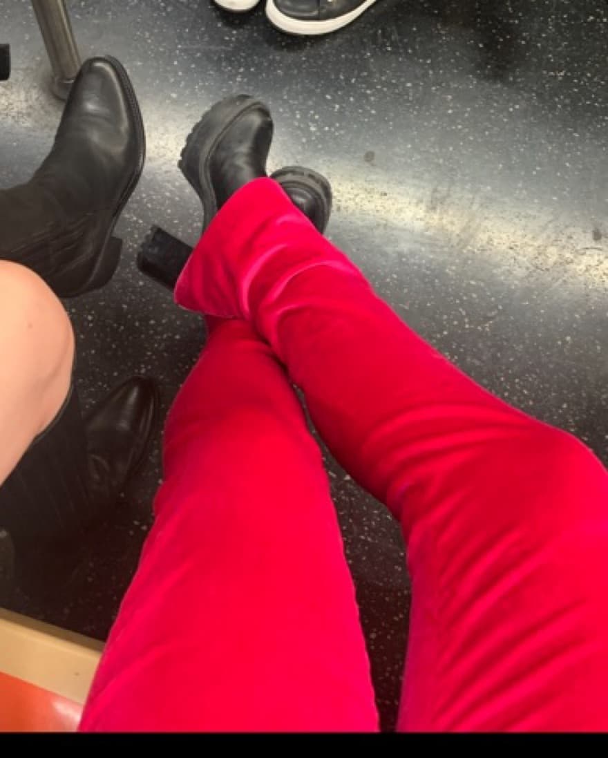 Theory Magenta Velvet Pants 💖 - Image 3