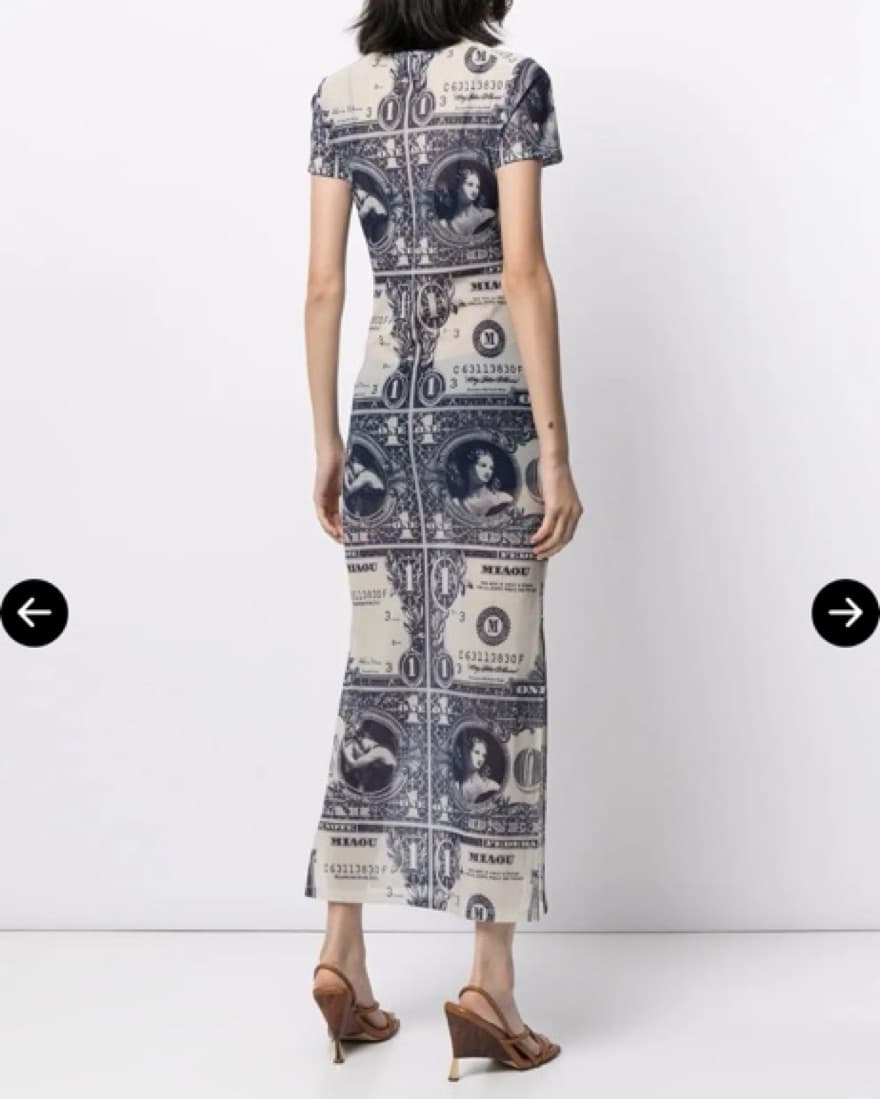 MIAOU MONEY PRINT DRESS - Image 5