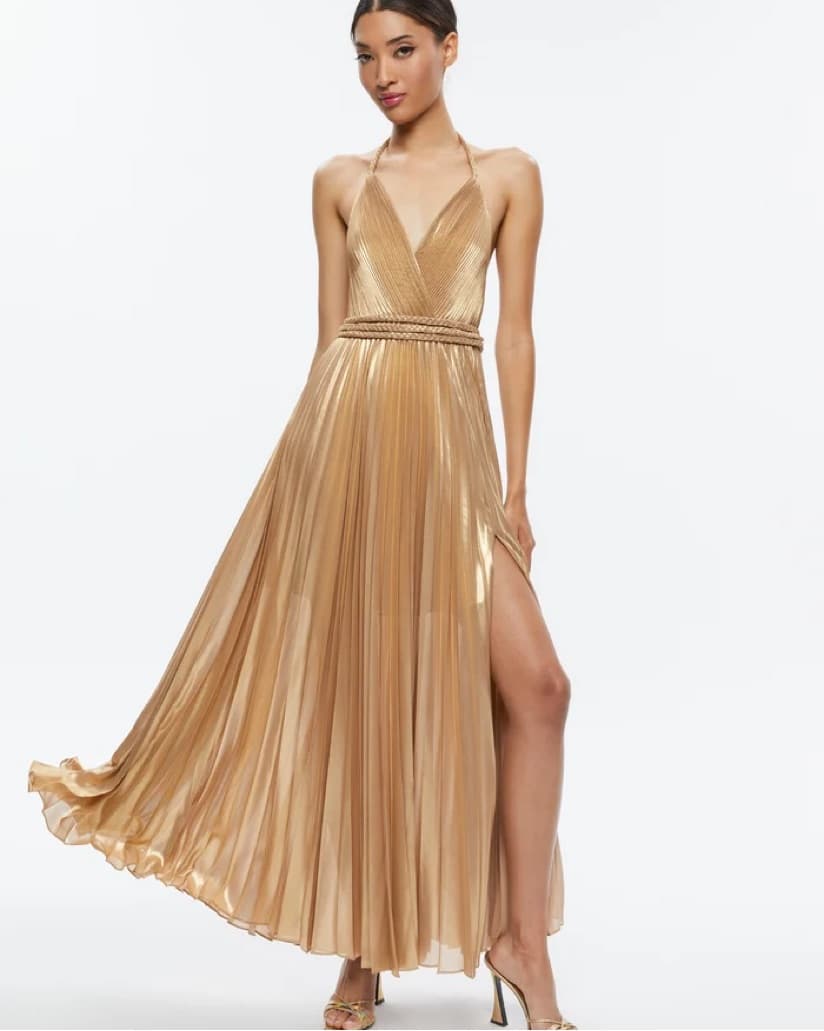 Alice & Olivia Tresa Pleated Maxi Dress  - Image 1