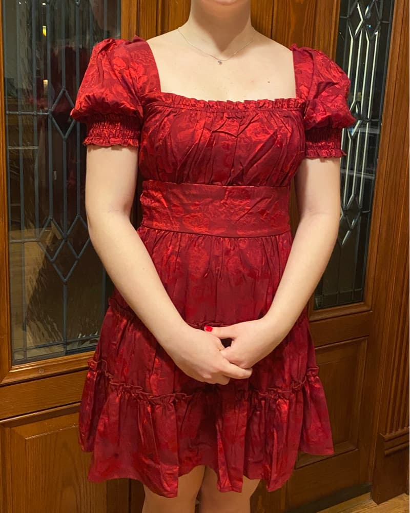 Red Brocade Puff Sleeve Mini Dress - Image 1