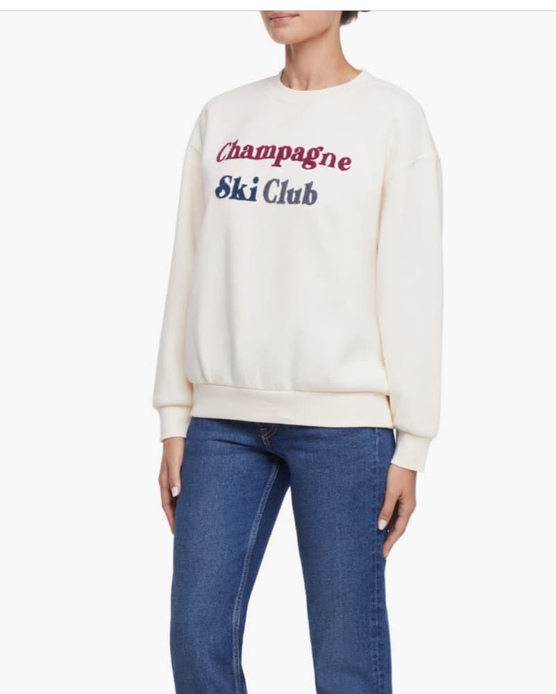 Wildfox Champagne Ski Sweater  - Image 3