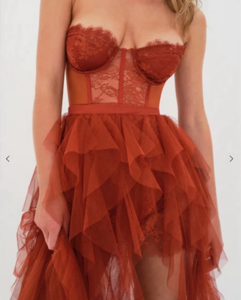 x REVOLVE Bustier Gown in Rust - Image 4