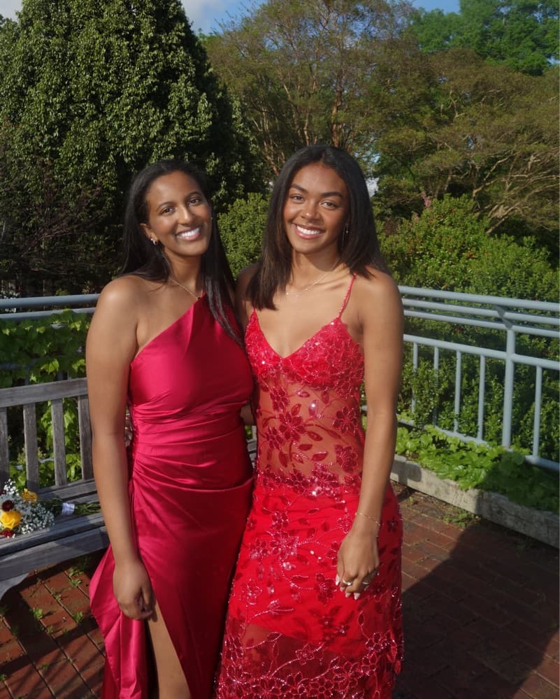 Delilah Maxi Red Dress (Cha Collective) - Image 4