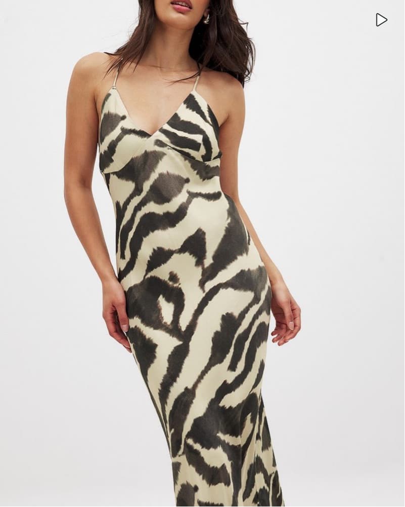 NAKD Zebra Dress - Image 1