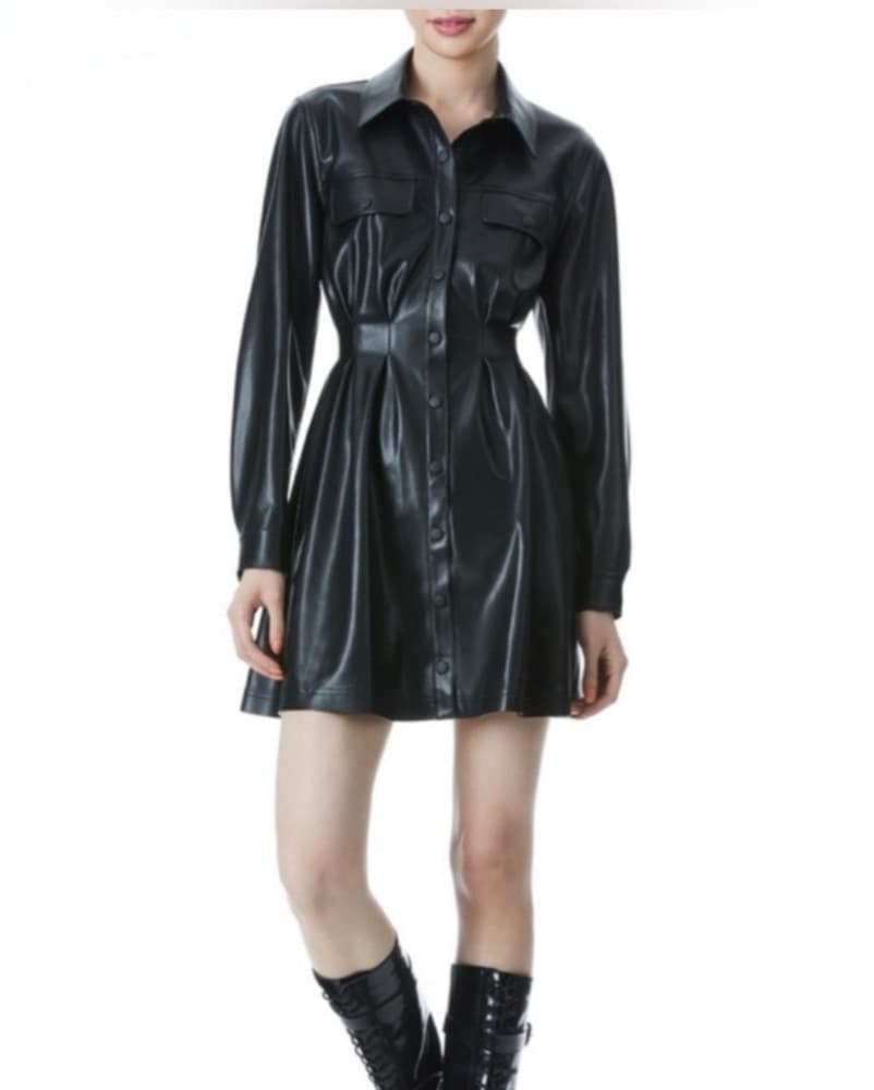Alice and Olivia Leather Dress  - Image 1