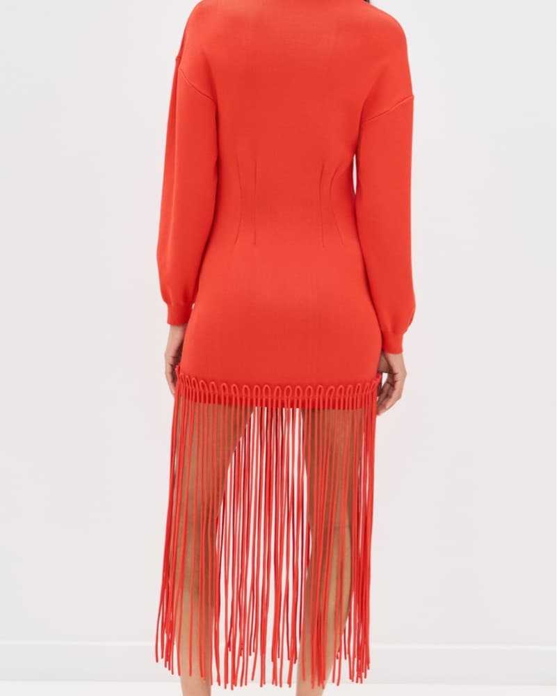 Simon Miller Fringe Dress  - Image 2