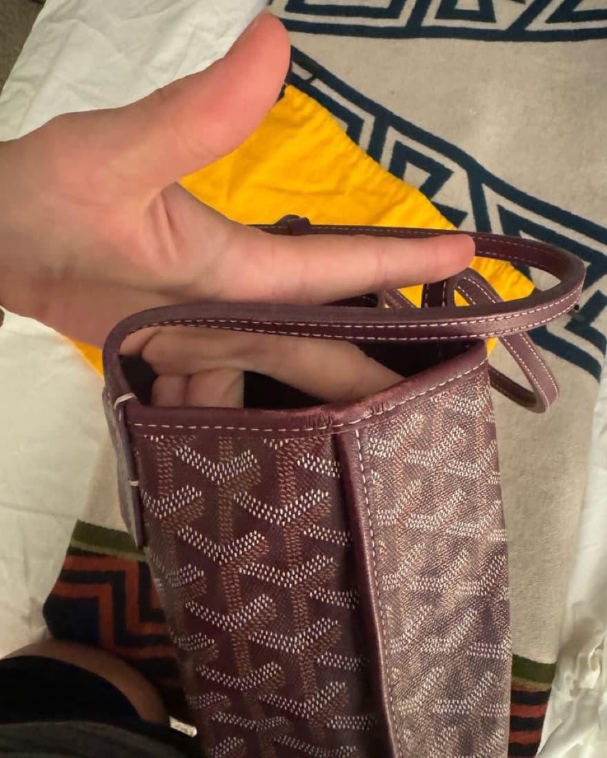 Goyard Anjou Mini  - Image 4