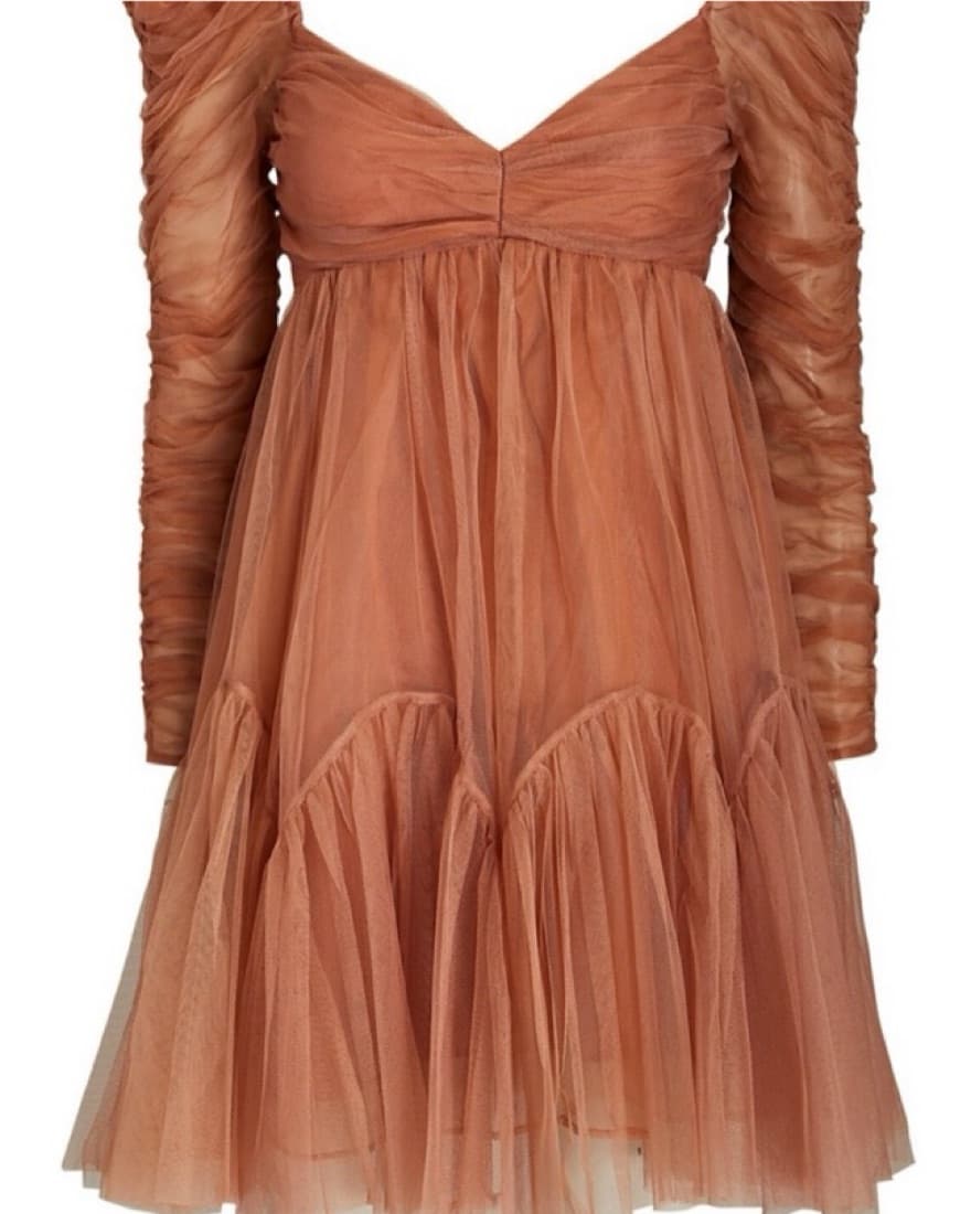 Zimmermann Pink Beige Tulle Mini Dress - Image 1
