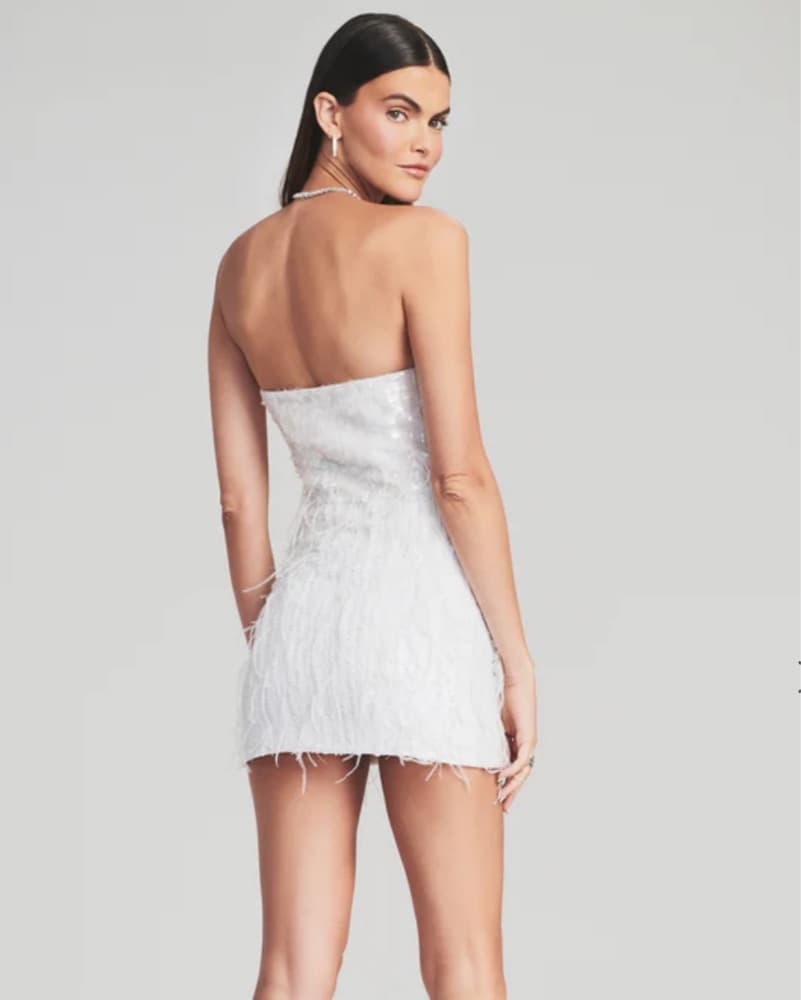 Retrofete Anastasia Sequin Feather Dress - Image 3