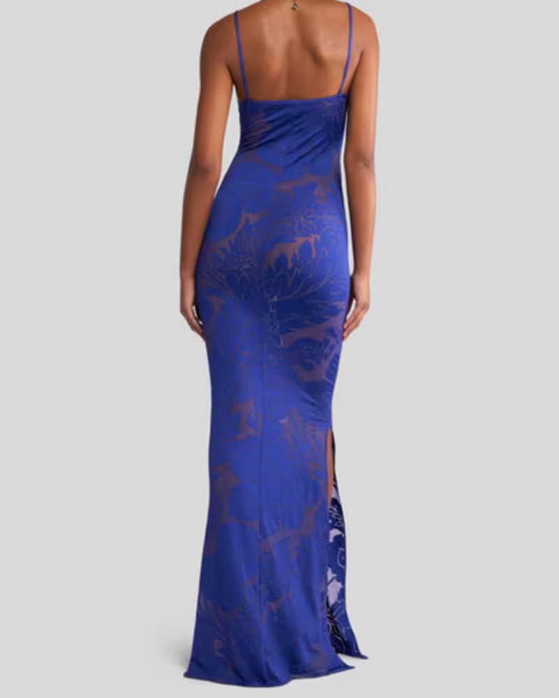 Etro Maxi Dress - Image 4