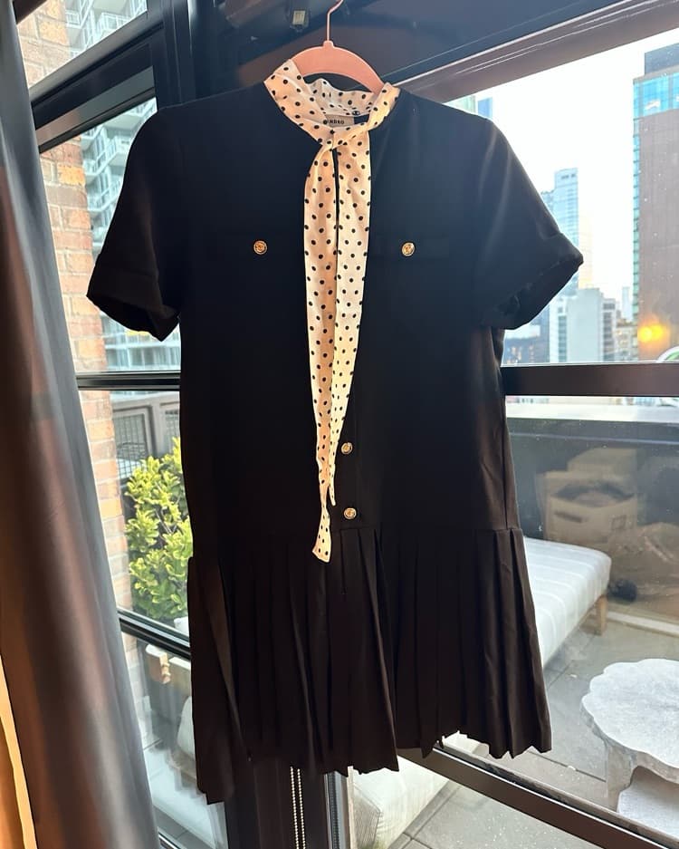 Sandro Dropwaist Dress - Image 2